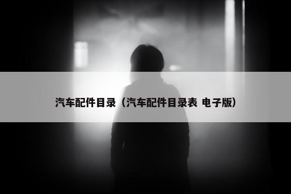 汽车配件目录（汽车配件目录表 电子版）