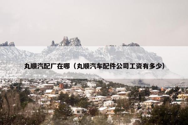 丸顺汽配厂在哪（丸顺汽车配件公司工资有多少）