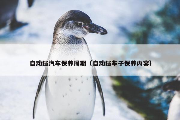 自动挡汽车保养周期（自动挡车子保养内容）