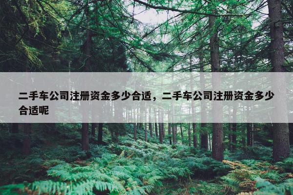 二手车公司注册资金多少合适，二手车公司注册资金多少合适呢