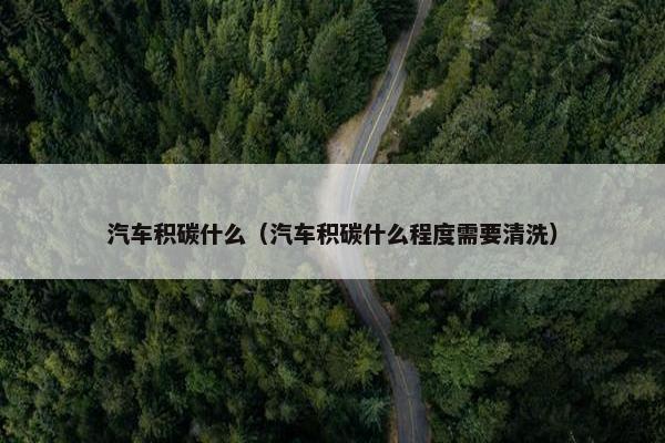汽车积碳什么（汽车积碳什么程度需要清洗）