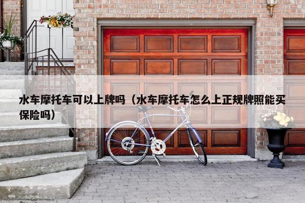 水车摩托车可以上牌吗（水车摩托车怎么上正规牌照能买保险吗）