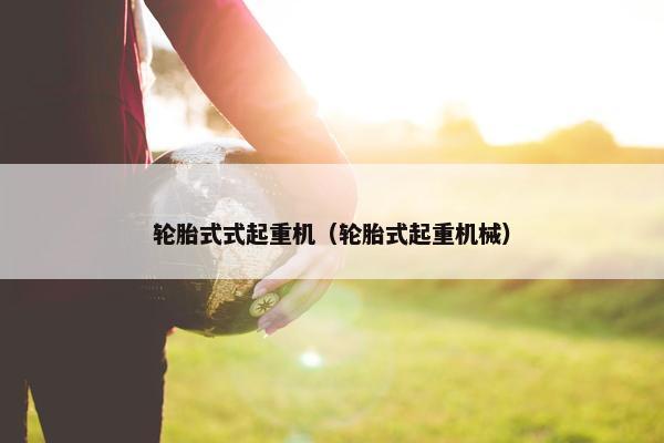 轮胎式式起重机（轮胎式起重机械）