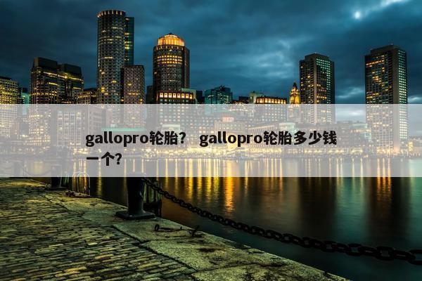 gallopro轮胎？ gallopro轮胎多少钱一个？
