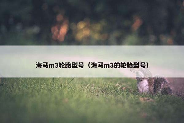 海马m3轮胎型号（海马m3的轮胎型号）