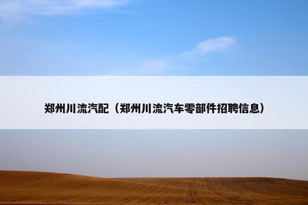 郑州川流汽配（郑州川流汽车零部件招聘信息）