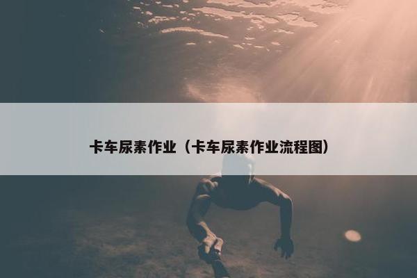 卡车尿素作业（卡车尿素作业流程图）