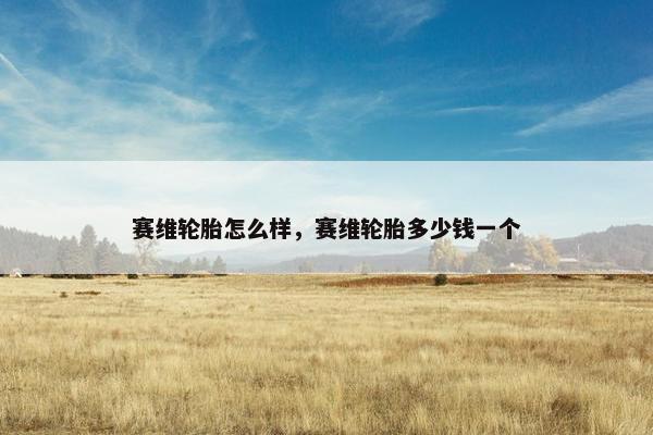 赛维轮胎怎么样，赛维轮胎多少钱一个