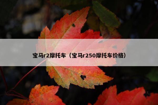 宝马r2摩托车（宝马r250摩托车价格）