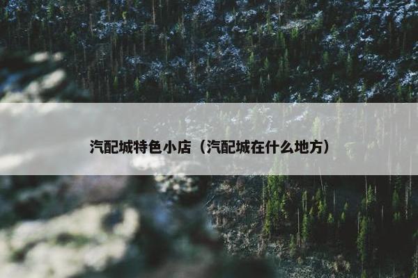 汽配城特色小店（汽配城在什么地方）
