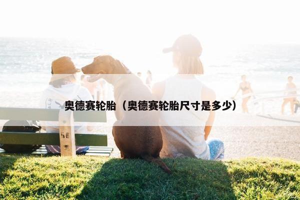 奥德赛轮胎（奥德赛轮胎尺寸是多少）