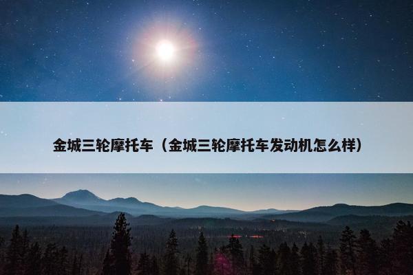 金城三轮摩托车（金城三轮摩托车发动机怎么样）