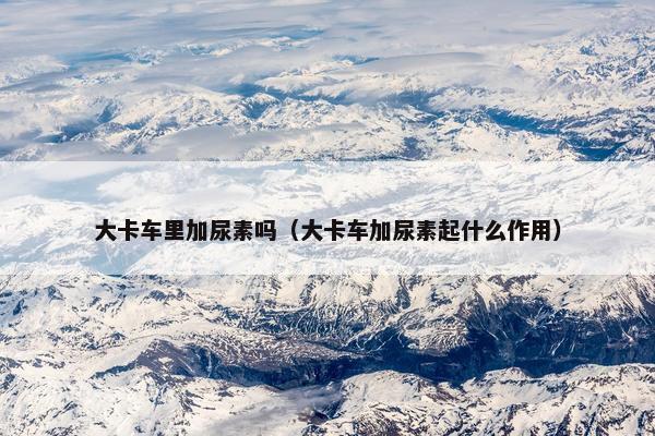 大卡车里加尿素吗（大卡车加尿素起什么作用）