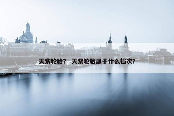 天黎轮胎？ 天黎轮胎属于什么档次？