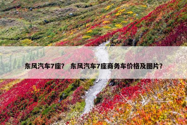 东风汽车7座？ 东风汽车7座商务车价格及图片？
