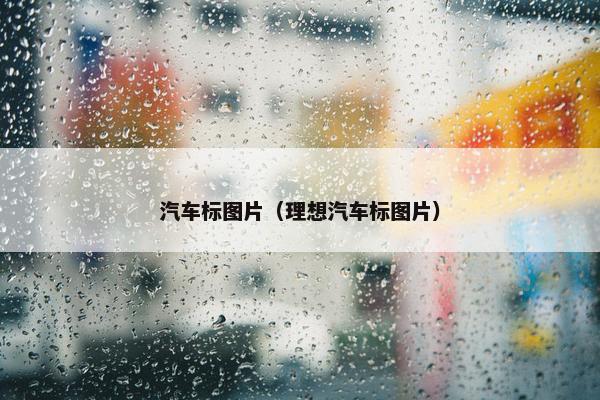 汽车标图片（理想汽车标图片）