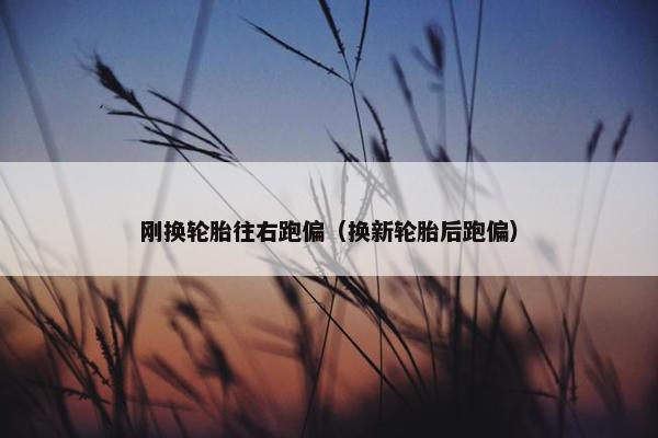 刚换轮胎往右跑偏（换新轮胎后跑偏）