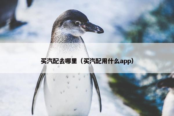 买汽配去哪里（买汽配用什么app）