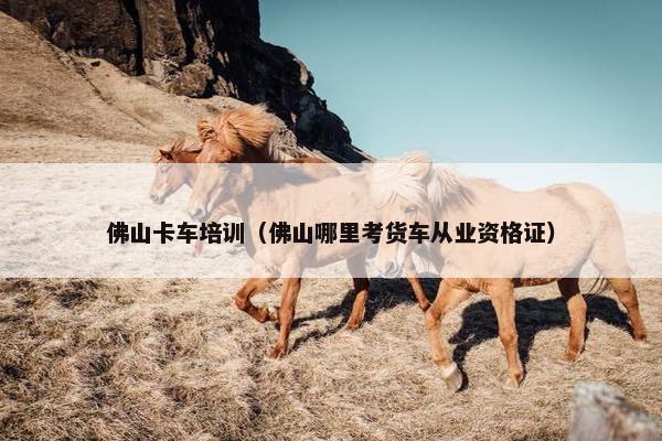 佛山卡车培训（佛山哪里考货车从业资格证）