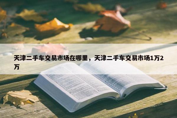 天津二手车交易市场在哪里，天津二手车交易市场1万2万