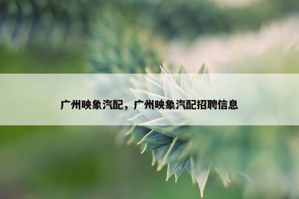 广州映象汽配，广州映象汽配招聘信息