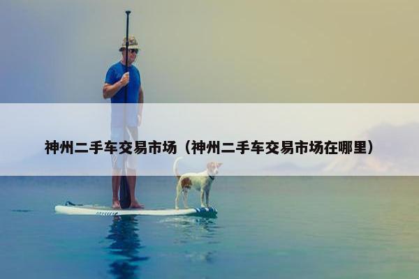 神州二手车交易市场（神州二手车交易市场在哪里）