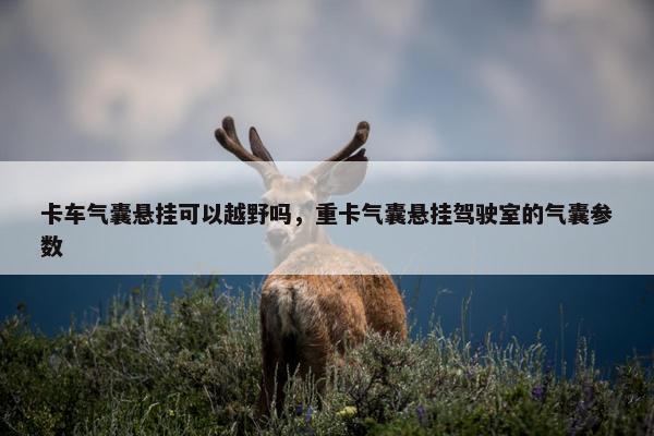 卡车气囊悬挂可以越野吗，重卡气囊悬挂驾驶室的气囊参数