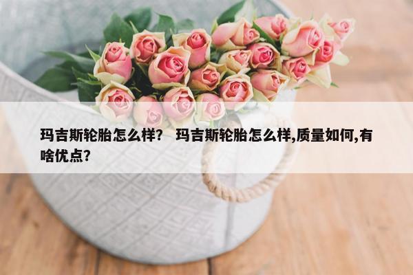 玛吉斯轮胎怎么样？ 玛吉斯轮胎怎么样,质量如何,有啥优点？