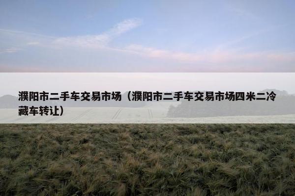 濮阳市二手车交易市场（濮阳市二手车交易市场四米二冷藏车转让）