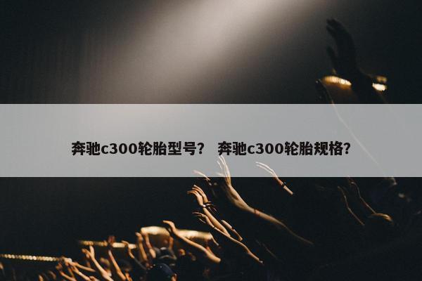 奔驰c300轮胎型号？ 奔驰c300轮胎规格？