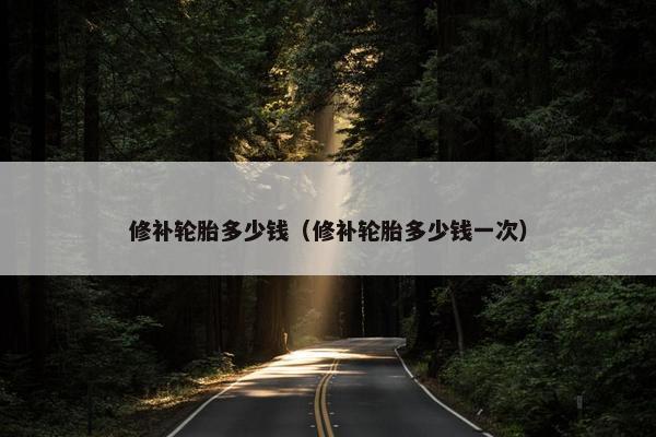 修补轮胎多少钱（修补轮胎多少钱一次）