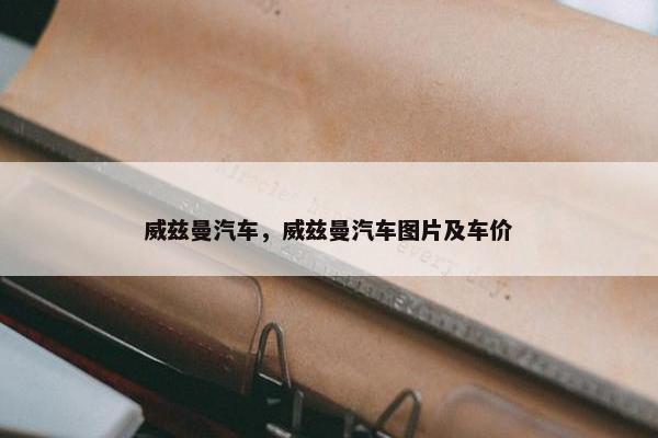 威兹曼汽车，威兹曼汽车图片及车价
