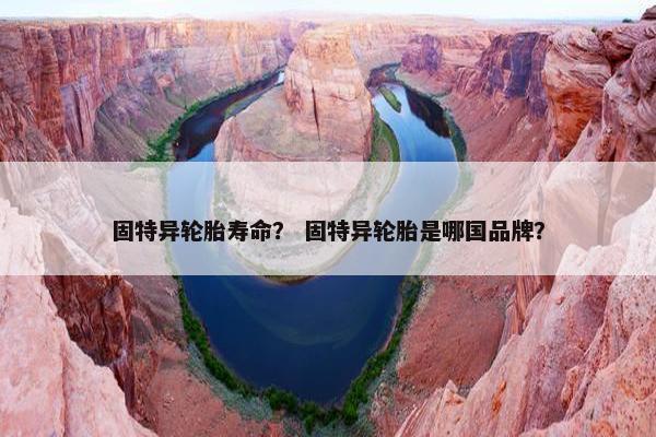 固特异轮胎寿命？ 固特异轮胎是哪国品牌？