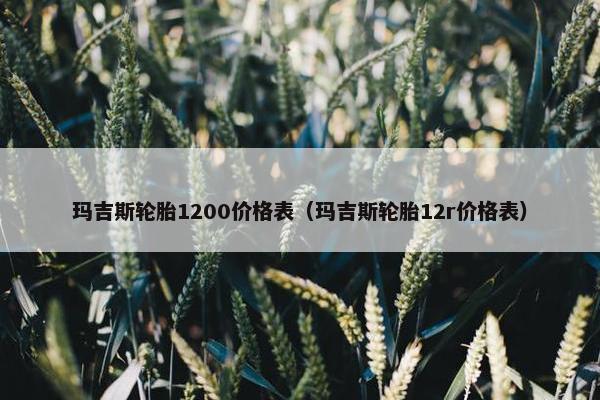 玛吉斯轮胎1200价格表（玛吉斯轮胎12r价格表）