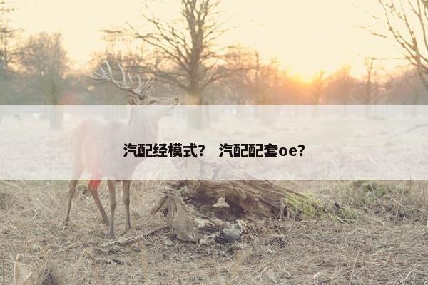 汽配经模式？ 汽配配套oe？