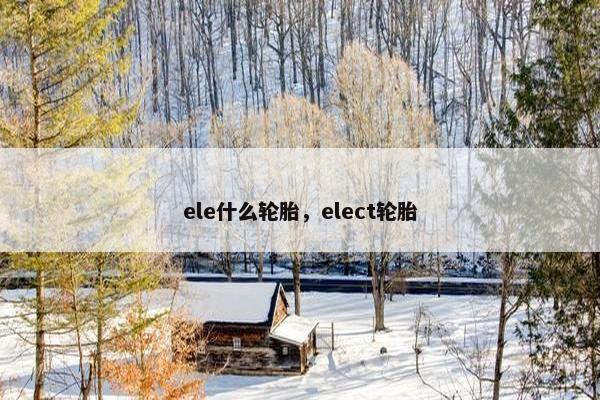ele什么轮胎，elect轮胎