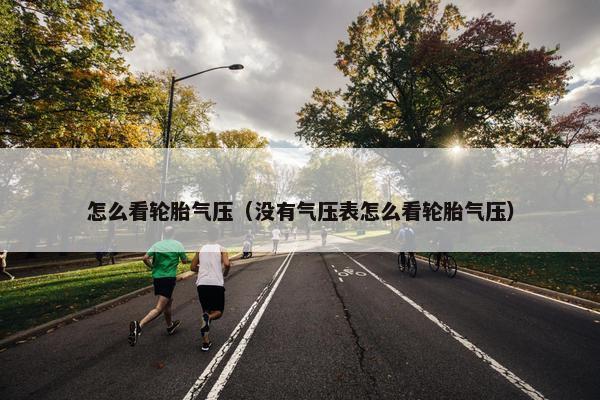 怎么看轮胎气压（没有气压表怎么看轮胎气压）