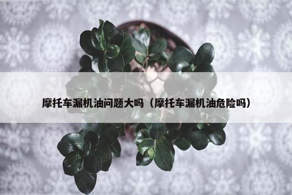 摩托车漏机油问题大吗（摩托车漏机油危险吗）