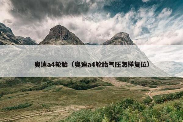 奥迪a4轮胎（奥迪a4轮胎气压怎样复位）
