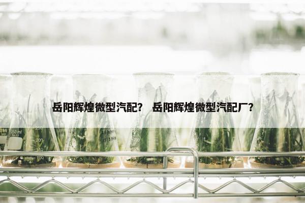 岳阳辉煌微型汽配？ 岳阳辉煌微型汽配厂？