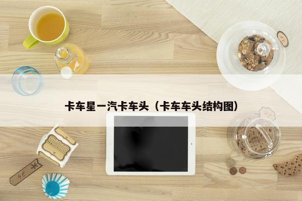 卡车星一汽卡车头（卡车车头结构图）