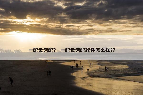 一配云汽配？ 一配云汽配软件怎么样?？