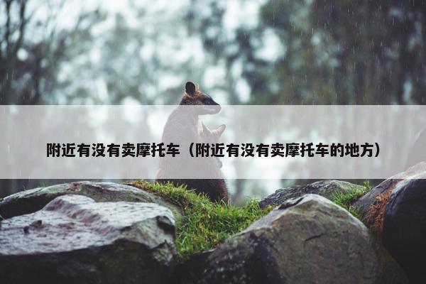 附近有没有卖摩托车（附近有没有卖摩托车的地方）