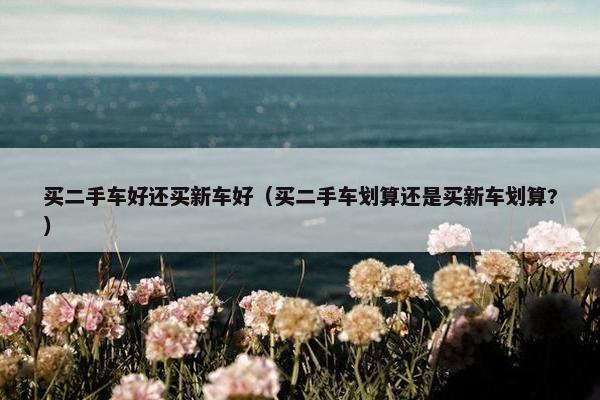 买二手车好还买新车好（买二手车划算还是买新车划算?）
