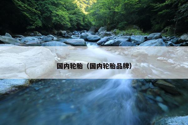 国内轮胎（国内轮胎品牌）
