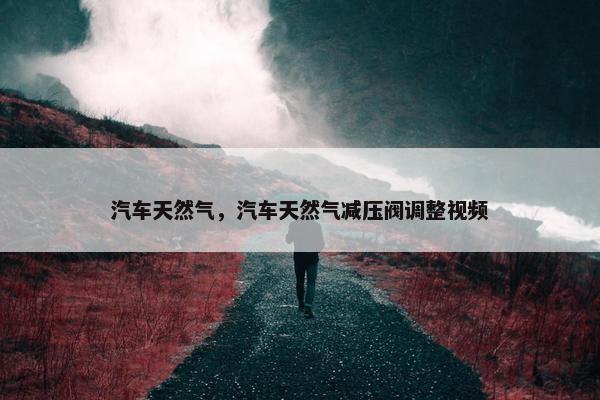 汽车天然气，汽车天然气减压阀调整视频