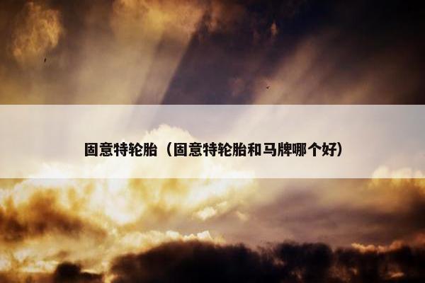固意特轮胎（固意特轮胎和马牌哪个好）