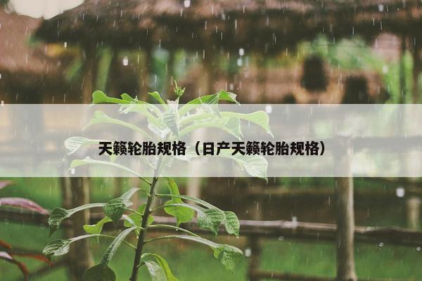 天籁轮胎规格（日产天籁轮胎规格）