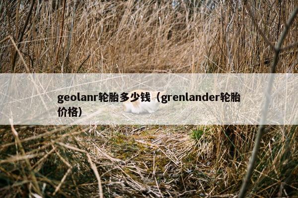geolanr轮胎多少钱（grenlander轮胎价格）