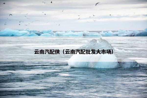 云南汽配侠（云南汽配批发大市场）